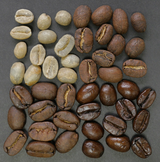 Roasted with intention, built for everyday cups