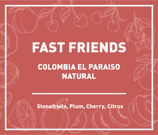 Fast Friends